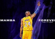 开云体育入口-节奏之舞，卡塔尔力克波兰，范戴克演绎中卫新高度
